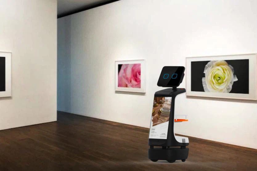 product-834-556 product-834-556