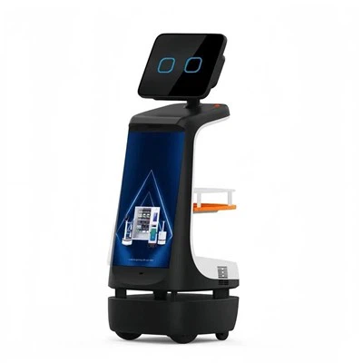 인사 및 안내 로봇